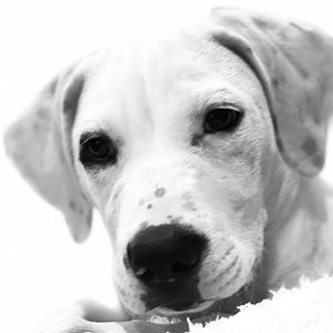 Meet your Posher, Terri